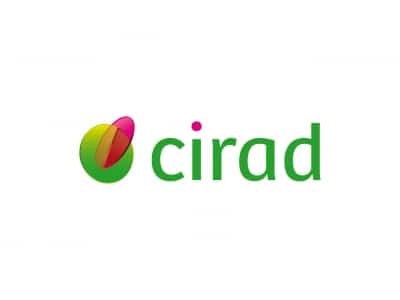 ciradinraimage