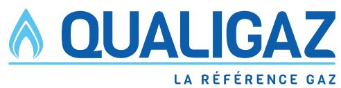 logo qualigaz